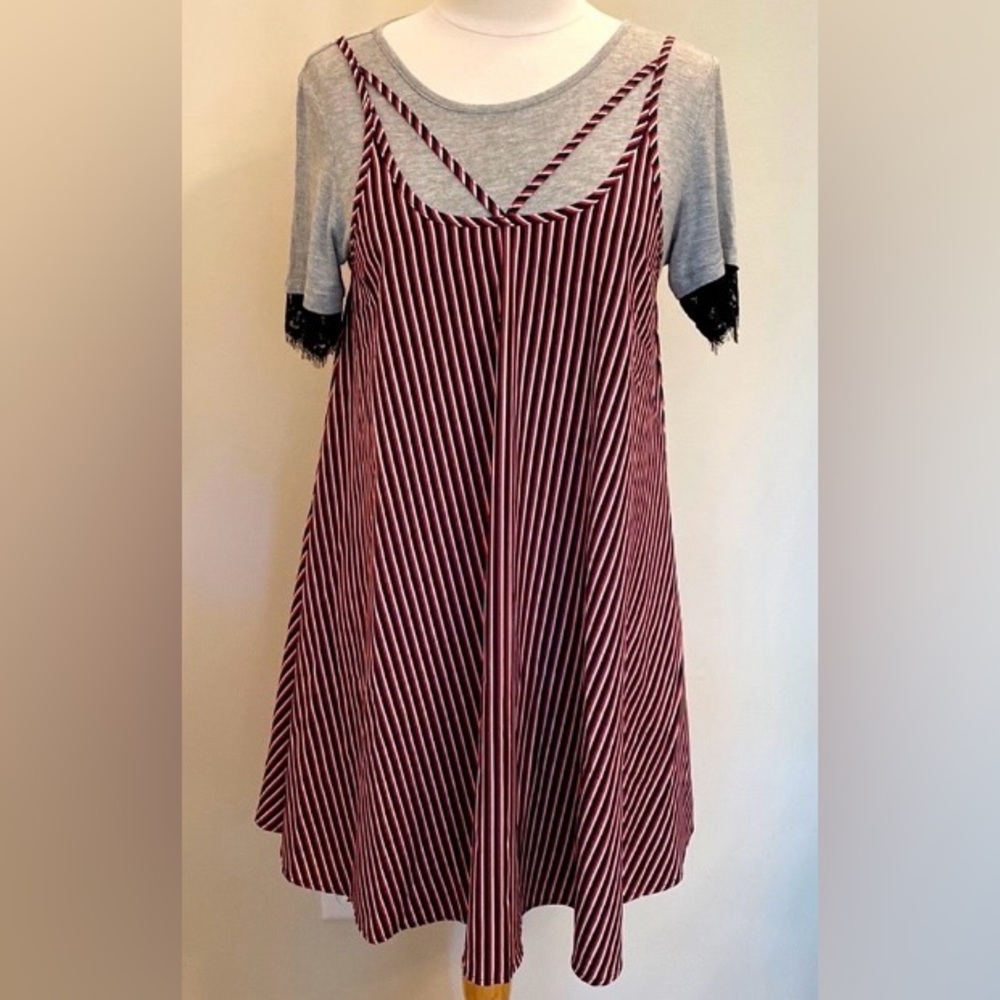 Hem & Thread Red Striped Grey Black Lace SZ L Boho Chic Grunge Skater Mini Dress